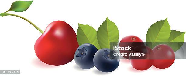 Fruits Rouges Vecteurs libres de droits et plus d'images vectorielles de Aliment - Aliment, Aliments et boissons, Beauté
