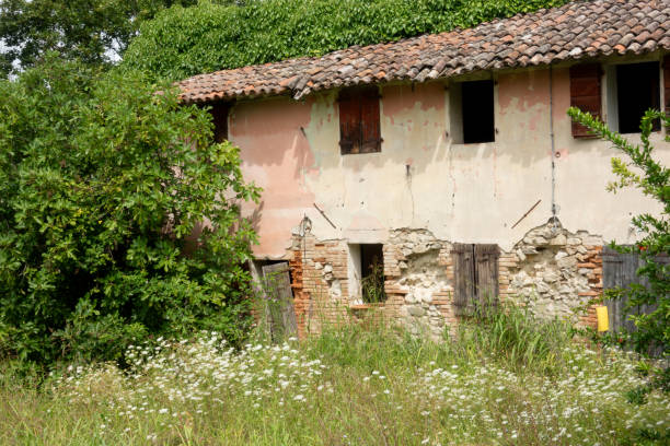 istock Run down abandoned house with overgrown garden 1643904655