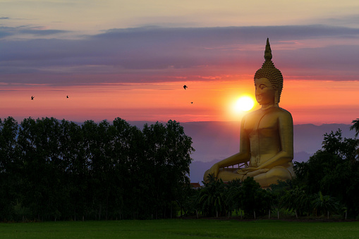 A general view of a Golden Buddha statue on the grounds of Wat Buppharam in Chiang Mai, Thailand.