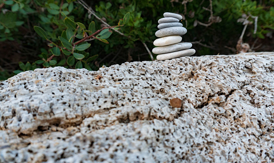 White stones on a wormy piece of wood near sea at a beach