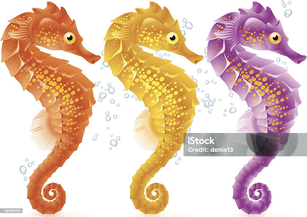 Vector sea horse Sea Life stock vector