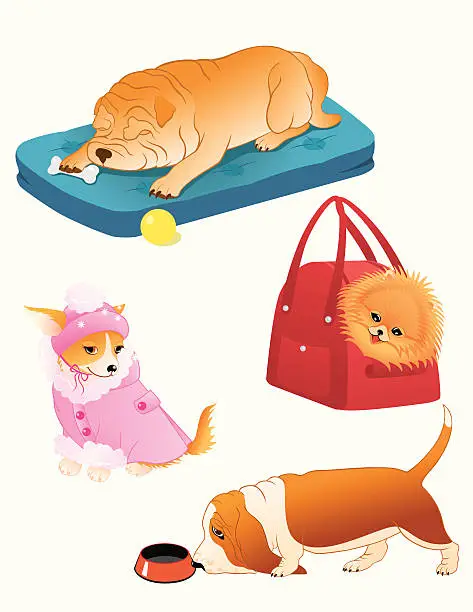 Vector illustration of Dog set.