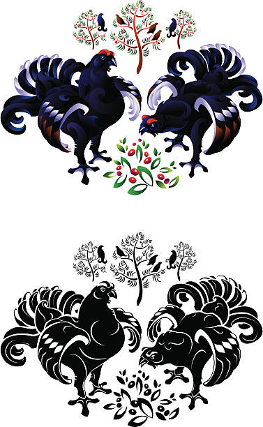 Black grouse Two Black grouse. capercaillie grouse stock illustrations