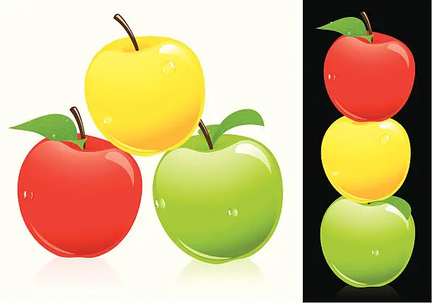 Vector illustration of Apples three different colors