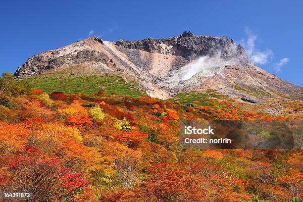 Foto de Montanha Folhas De Outono e mais fotos de stock de Folhagem vermelha - Folhagem vermelha, Folha de Bordo, Ácer Japonesa