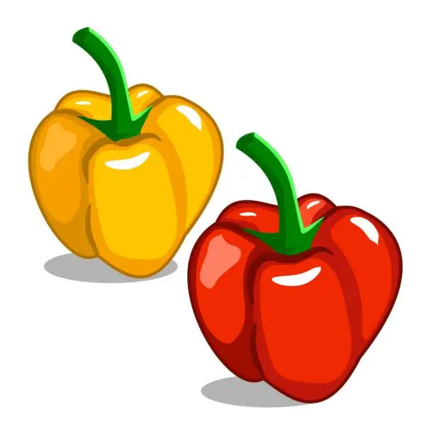 Vector illustration of Yellow and red pepper vector