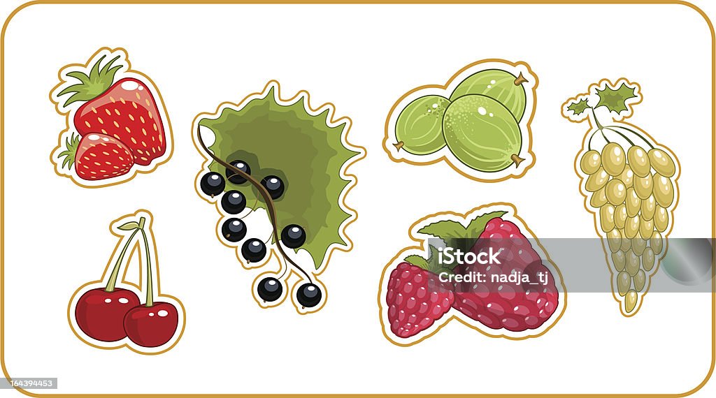 set of berries "set of vector berries: strawberry, cherry, blackcurrant, grapes, gooseberry, raspberry" Berry Fruit stock vector