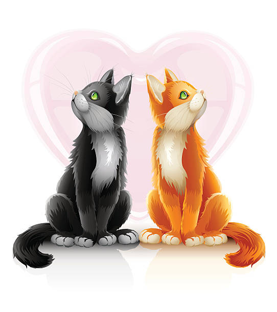 illustrations, cliparts, dessins animés et icônes de couple romantique de deux amoureux chats - domestic cat ginger two animals kitten