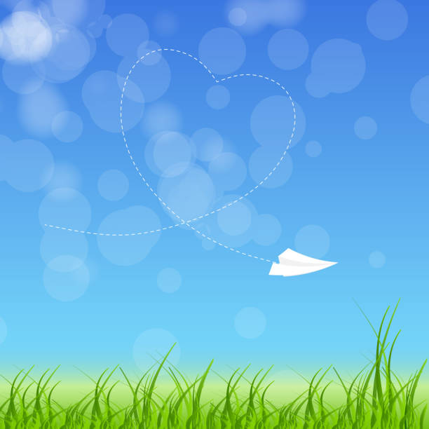 ilustrações, clipart, desenhos animados e ícones de placa com papel do avião e coração ilustração vetorial - heart shape grass paper green