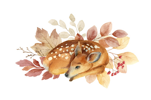 Watercolor vector composition with a sleeping fawn and autumn foliage. Perfect for a Thanksgiving decoration, kids design,  textiles, packaging, birthday party, greeting cards. Hand painted  illustration.