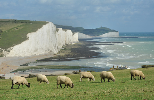 Beautiful Cuckmere Haven near Seaford, East Sussex, England. South Downs National park. View of blue sea, white cliffs, beach, selective focus