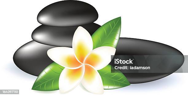 Fragipani With Leaves And Stones Stock Illustration - Download Image Now - Aromatherapy, Asia, Beauty