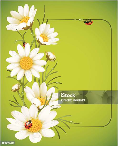 Ilustración de Camomile Bastidor y más Vectores Libres de Derechos de Planta de manzanilla - Planta de manzanilla, Manzanilla, Abstracto