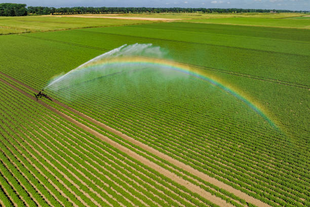 istock Irrigation pivot gun machinespraying water on a field 1643972317