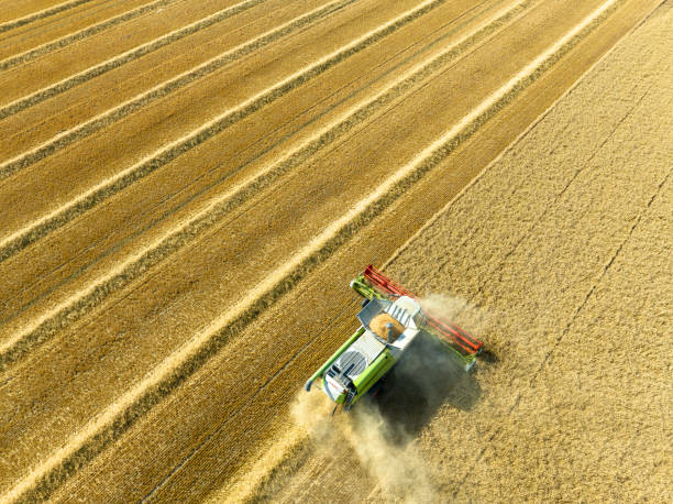 istock Combine harverster harvesting wheat during summer seen from above 1643972325