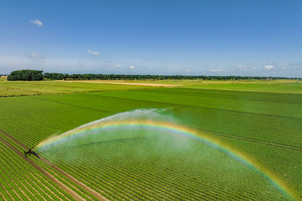 istock Irrigation pivot gun machinespraying water on a field 1643973487