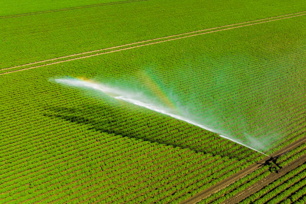 istock Irrigation pivot gun machinespraying water on a field 1643974010