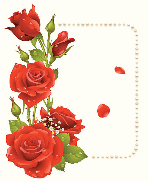 Vector red rose and pearls frame vector art illustration