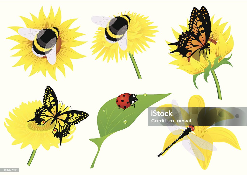Pollinator Insect Drawing Insects Stock Illustration - Download Image Now - Pollination, Bud, Bee ...