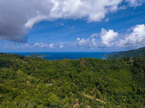 istock Aerial view Drone camera rainforest trees on high mountains, Ecology with healthy environment concept and summer background 1643980155