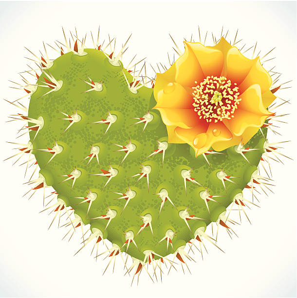 Thorny heart Vector thorny cactus in the shape of heart and yellow flower cactus plant needle pattern stock illustrations