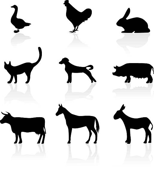 Farm animals icons set in black silhouette vector art illustration