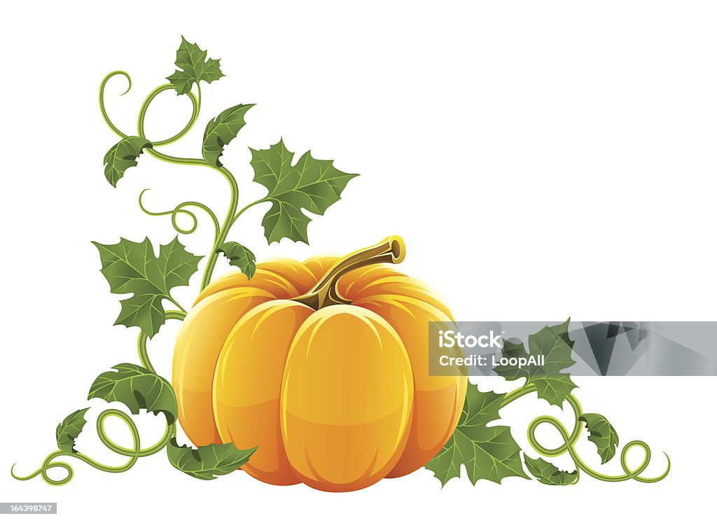 Dojrzałe pomarańczowe Warzywo dyni z zielonych liści - Grafika wektorowa royalty-free (Clip Art)