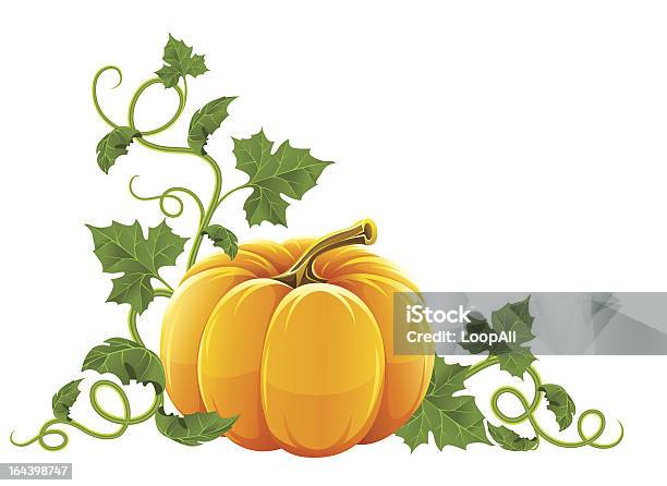 Dojrzałe Pomarańczowe Warzywo Dyni Z Zielonych Liści - Stockowe grafiki wektorowe i więcej obrazów Clip Art