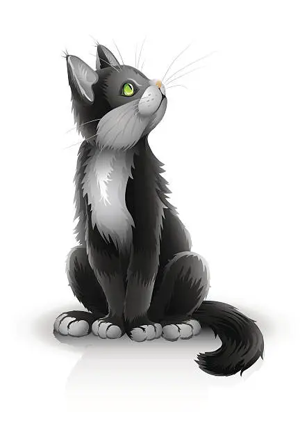 Vector illustration of pretty black kitten