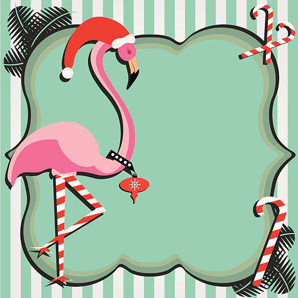 Christmas Flamingo Frame Pink flamingo with striped stockings and Santa Hat poses infront of a decorative frame florida christmas stock illustrations