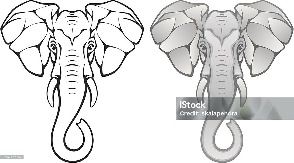 Elephant head Elephant head on a white background Elephant stock vector