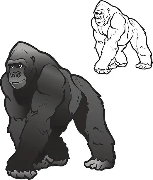 Vector illustration of Vector Silverback Gorilla Illustration