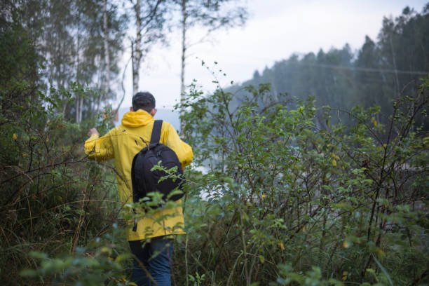 istock Biologist looking for a good location for their research 1643999412