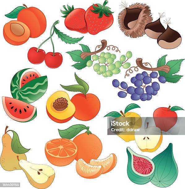 Obst Stock Vektor Art und mehr Bilder von Apfel - Apfel, Aprikose, Birne