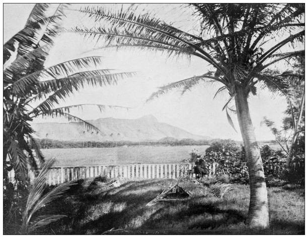 �гавайи, античное фото: алмазная голова из вайкики - hawaii islands big island waikiki beach stock illustrations