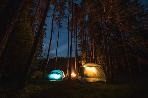 Illuminated tents in camping under a night sky in the forest.