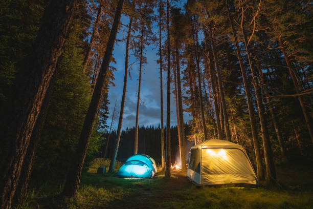 istock Illuminated tents under a night sky in the forest. 1644005346