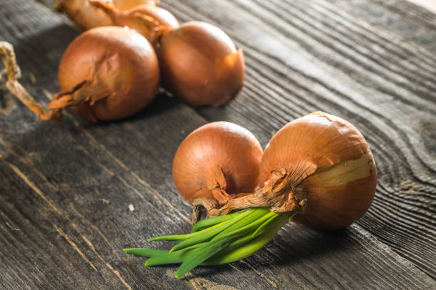 fresh onions from sprouting bulbs on wood background