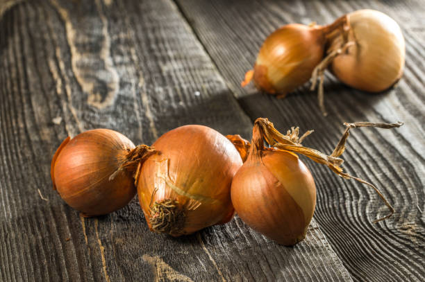 istock lots of onions on the table for cooking 1644005919