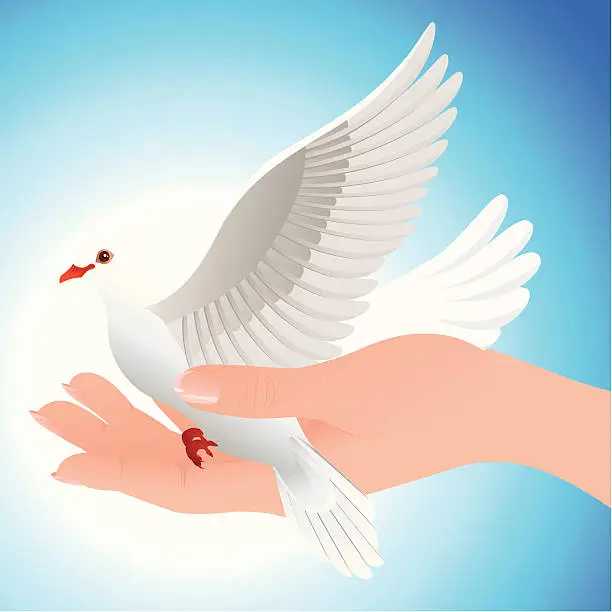 Vector illustration of Dove in human hand