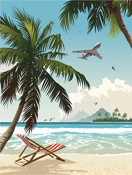 illustrations, cliparts, dessins animés et icônes de plage tropicale - tropical climate airplane island hawaii islands