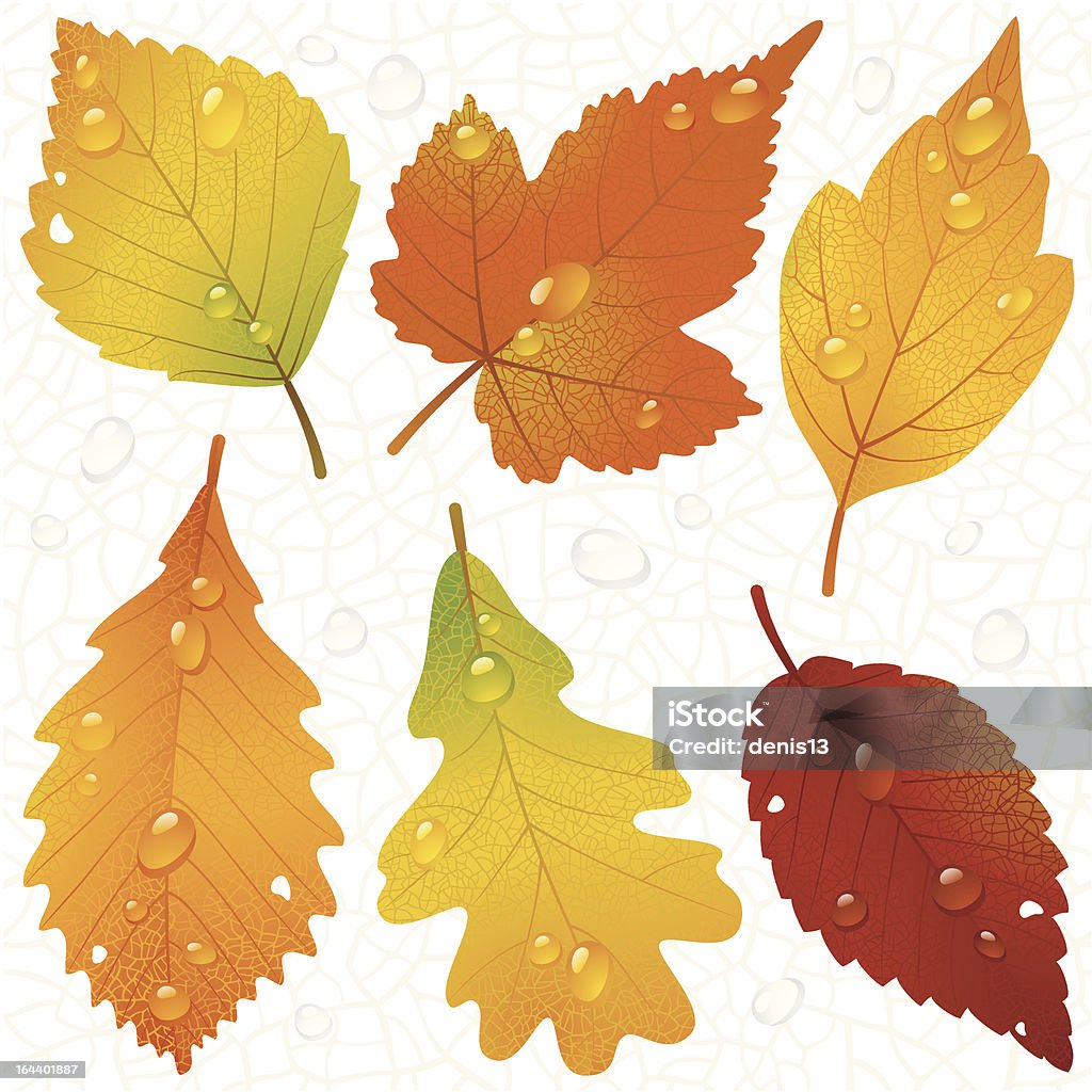 Vector autumn leaves and seamless vein background Autumn stock vector