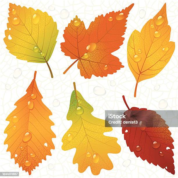 Vector Autumn Leaves And Seamless Vein Background Stock Illustration - Download Image Now - Autumn, Backgrounds, Birch Tree