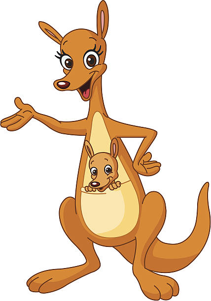 Kangaroo Mother kangaroo with her baby joey stock illustrations