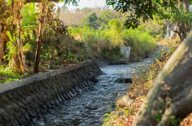 istock The water flow in the small river is fast 1644022995