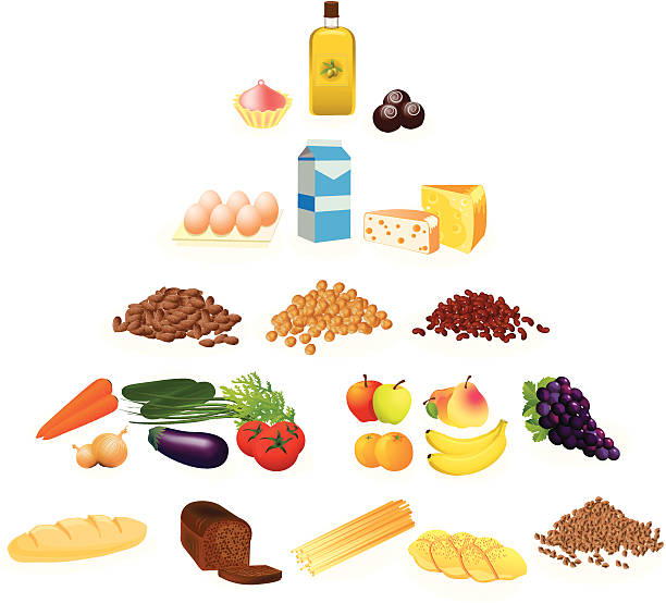 食品ピラミッドのベジタリアンます。 - food pyramid food healthy eating spaghetti点のイラスト素材／クリップアート素材／マンガ素材／アイコン素材