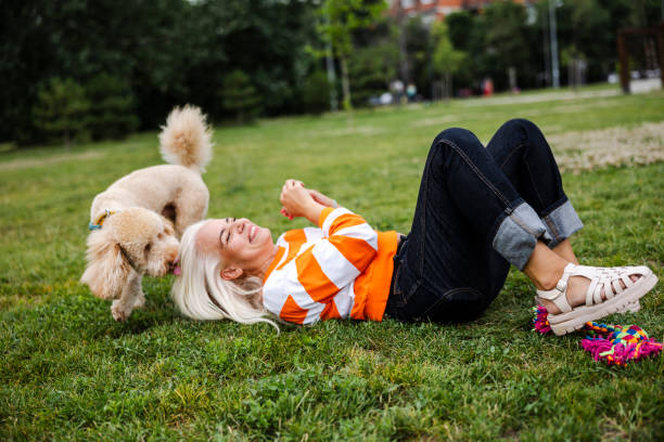 pet sitter cuidando de cães. ela está brincando com cachorro ao ar livre - puppy dog toy outdoors - fotografias e filmes do acervo