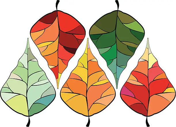 Vector illustration of autumn leaves