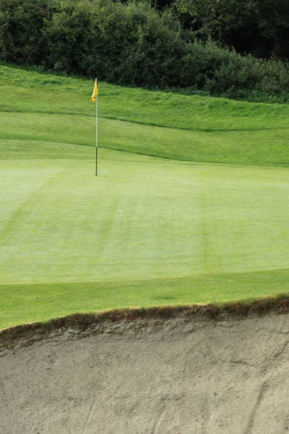 A golf ball comes to rest a few feet from the hole with a flag pole in it. The ball is drawn out by selective focus. The image is vignetted.