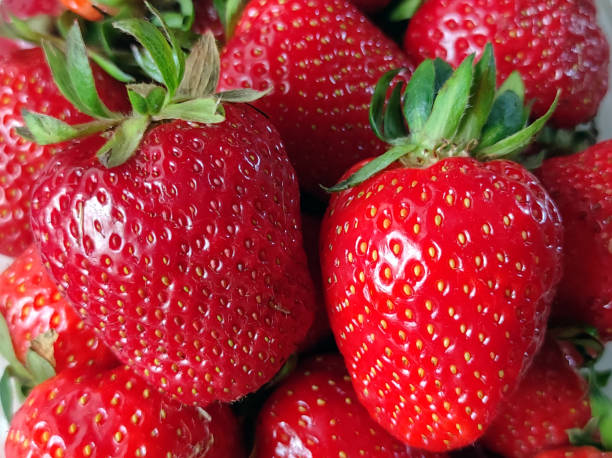 istock ripe red strawberries close up background 1644038025